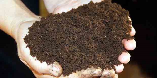 Solucan g�bresine �in ve �srail'den talep