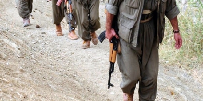 Bitlis'te biri kadın 3 terorist yakalandı