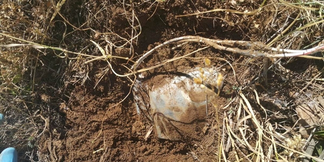 Bing�l'de el yap�m� patlay�c� imha edildi