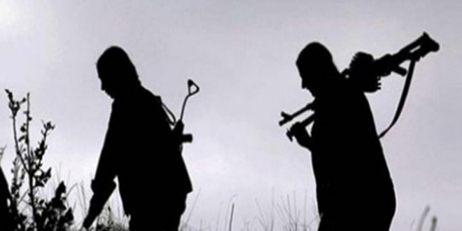 Hakkari'de 5 terörist etkisiz hale getirildi
