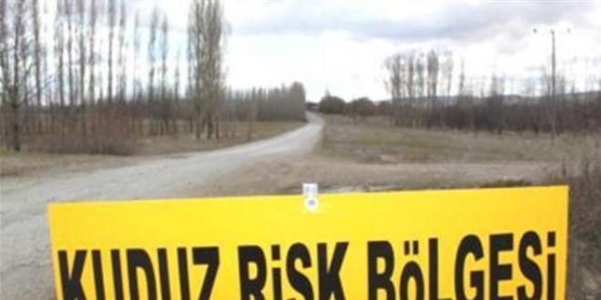 Osmaniye'de 104 kişi kuduz vakasından tedavi altında