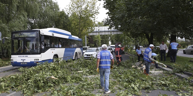 Başkentte, şiddetli rüzgar ağaçları yıktı, tabelaları devirdi