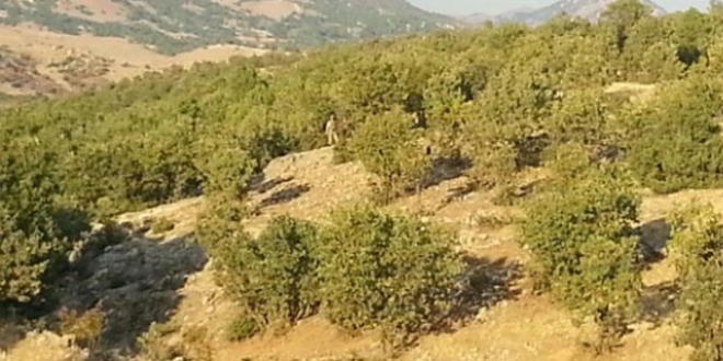 Jandarmanın dikkati faciayı önledi