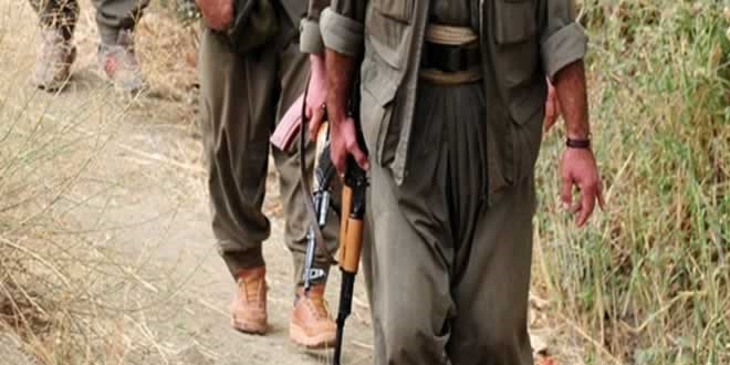 Hakkari'de bugne kadar 301 PKK'l etkisiz hale getirildi