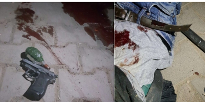 Kayyım'a suikast girişimi için gelen PKK'lı öldürüldü