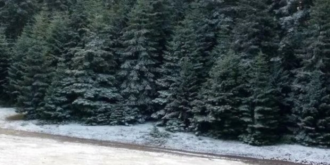 Bolu'ya mevsimin ilk kar� ya�d�