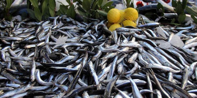 Hamside fiyat d��t�