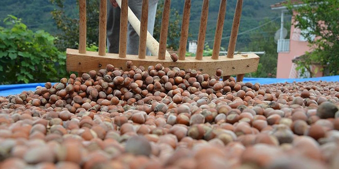 'T�rk f�nd��� tehdit alt�ndad�r'