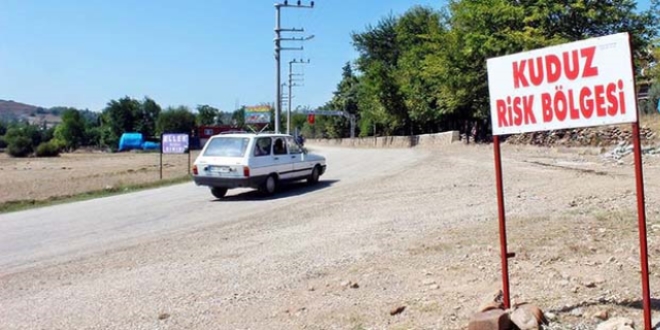 Kuduz hastalığından tedavi gören genç hayatını kaybetti