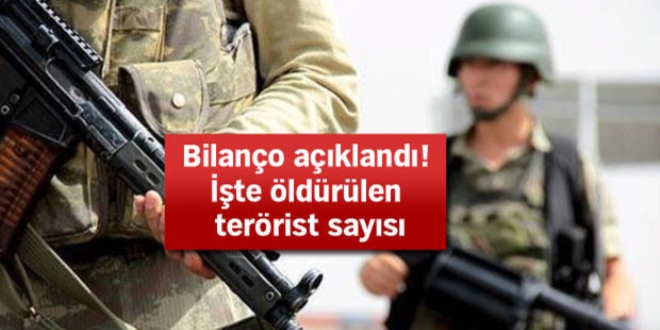 Terör örgütü PKK'ya bir ayda ağır darbe