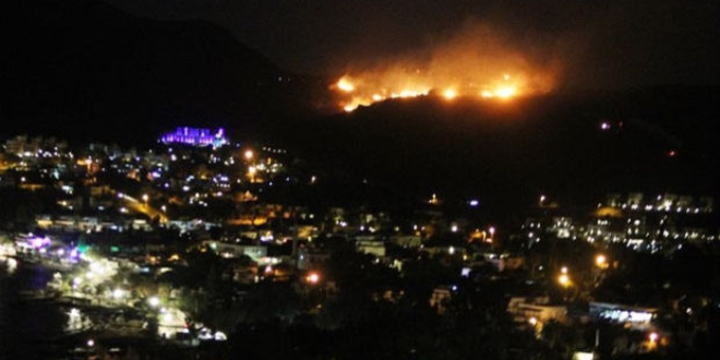 Bodrum'da yang�n: 5 hektar alan k�l oldu
