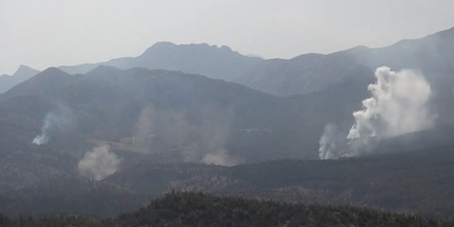 Şırnak'ta büyük operasyon başlatıldı