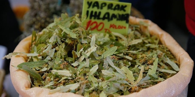 Ihlamur fiyatları düştü