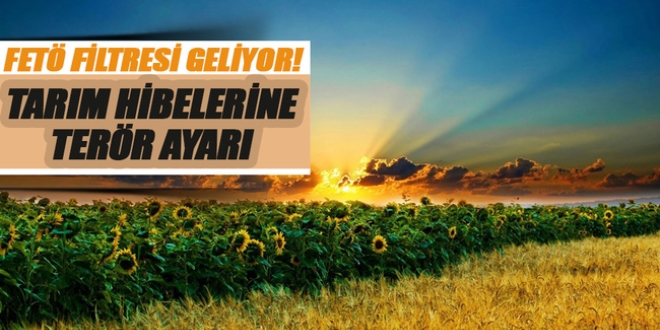 Tarım hibesine detaylı inceleme