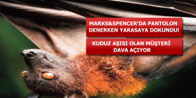 Mağazada yarasa çıktı, kuduz diye suç duyurusunda bulundu