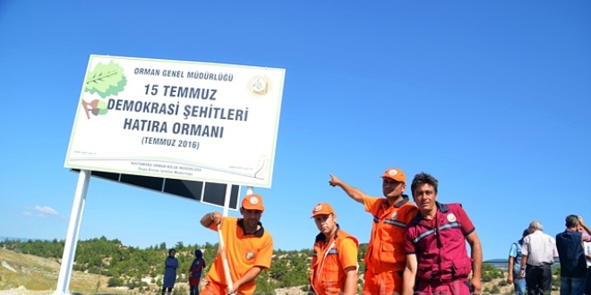 Mardin'de '15 Temmuz Demokrasi Şehitleri Hatıra Ormanı' oluşturuldu