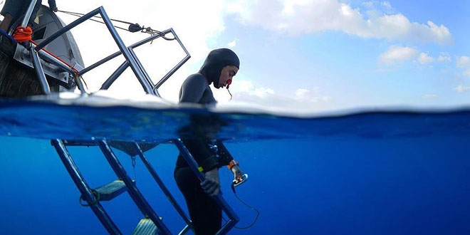 Cumhurba�kan� Erdo�an, �ahika Erc�men'i tebrik etti