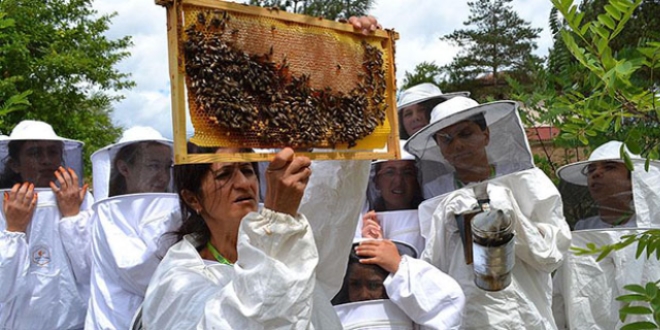 EXPO 2016 Antalya'da 'sokmayan arılar' ilgi görüyor