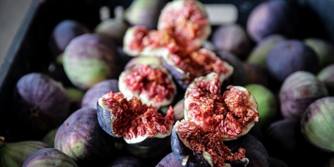 Bursa �retiyor 22 �lke t�ketiyor