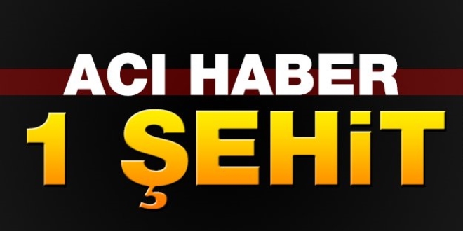 Fırat Kalkanı Harekatı'nda 1 subay şehit oldu