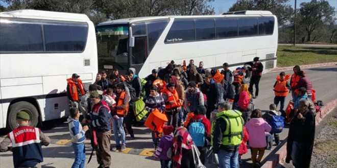 Muğla'nın Milas ilçesinde 72 kaçak göçmen yakalandı