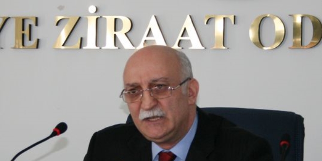 Tarımsal ürünler Türkiye'ye 48,5 milyar dolar kazandırdı
