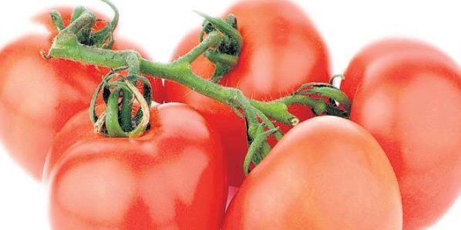Rusya: Türkiye'nin domatesler için 2-3 yıl beklemesi gerekecek