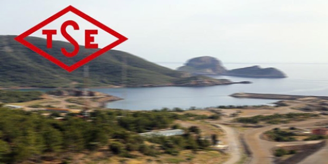 TSE'den nükleer enerji için iş birliği