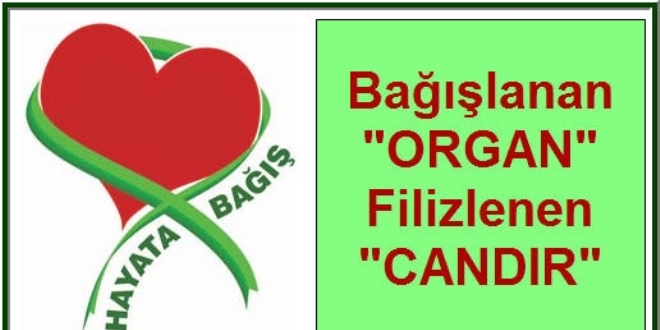 Öğütken: Organ bağışı yardımlaşmadır