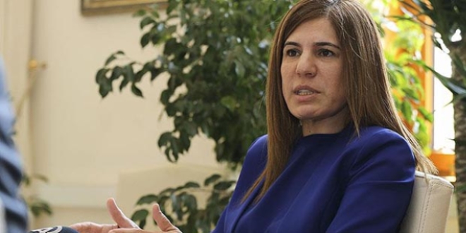 'Teröristleri ağırlamak demokrasi ile bağdaşmaz'