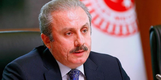 Şentop: Hükümet sistemiyle ilgili netliğe ihtiyaç var