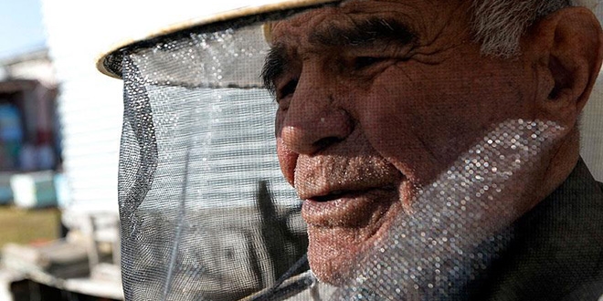 Emekli öğretmen 60 yıldır arıcılıkla uğraşıyor
