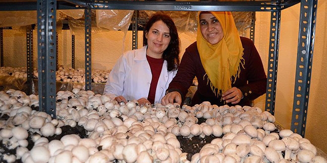 Ev hanımıydı 'patron' oldu