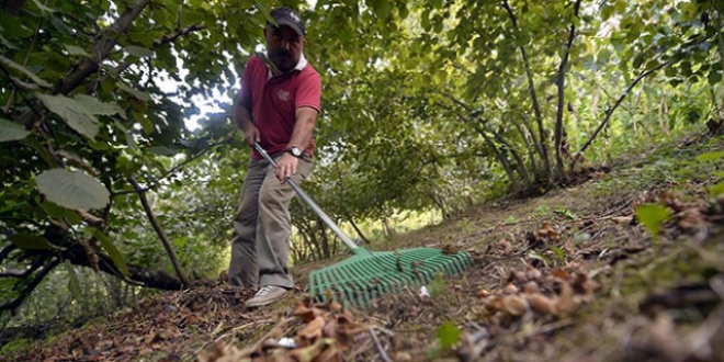 F�nd�k ve �ay i�in bor katk�l� g�bre �nerisi