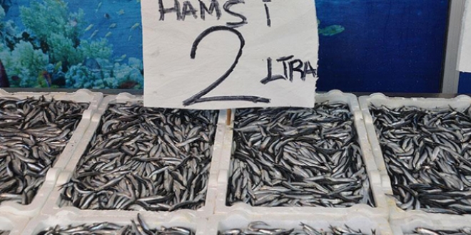 Hamsi fiyatı 2 liraya düştü