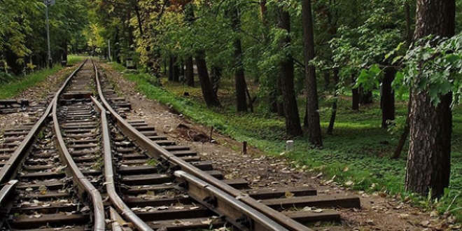 Demiryoluyla Batum'a balanma projesi sevindirdi