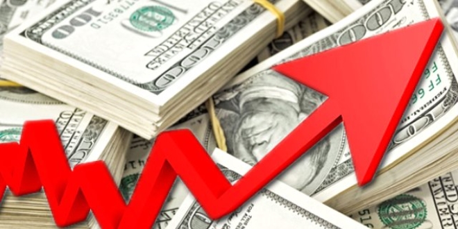 Dolar 20 Ocak'a kadar yükselecek