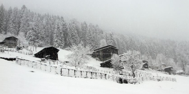 Ayder Yaylas�'nda kar ya����