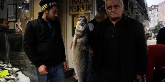 Karadeniz'de 5 kiloluk levrek yakalandı