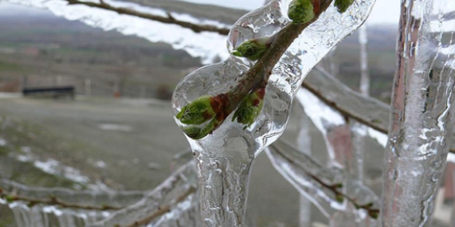Meteorolojiden 5 il için don uyarısı