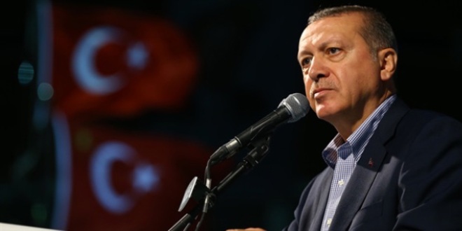 Erdoğan: Yasımızı kendi başımıza tutacağız