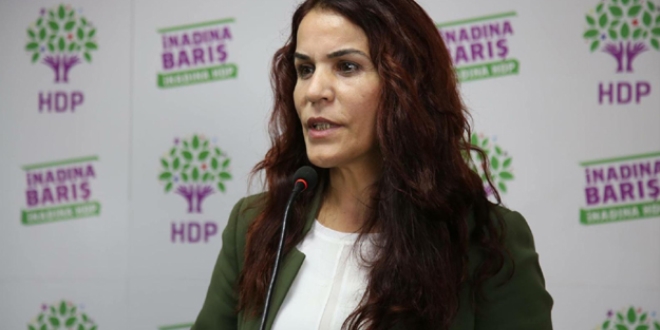 HDP Siirt Milletvekili Konca tutukland