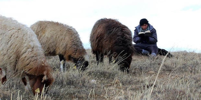 'ocuk obanlar' hayalleri iin ders alyor
