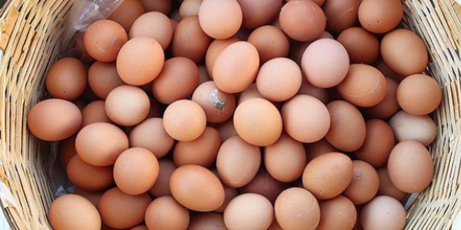 Yumurta fiyatlarndaki art 'geici'