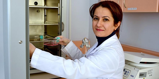 Kanser hücrelerini yok eden 3 bileşik buldu