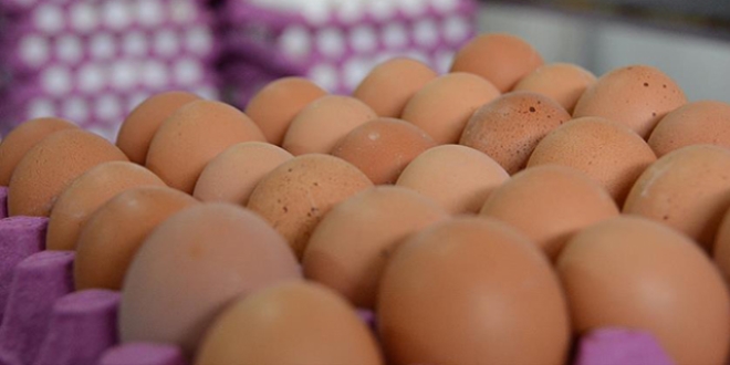 Tketicinin talebi kahverengi yumurtann fiyatn uurdu