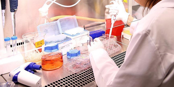 Veremin Türkiye'deki görülme oranı azaldı
