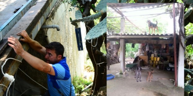 Sayaç okuyan görevlilere köpek engeli