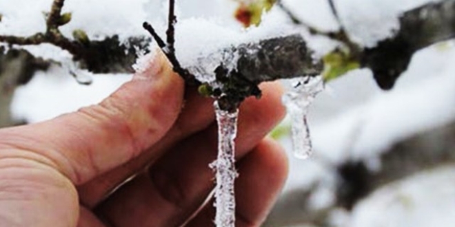 Meteoroloji'den 3 bölge için 'zirai don' uyarısı
