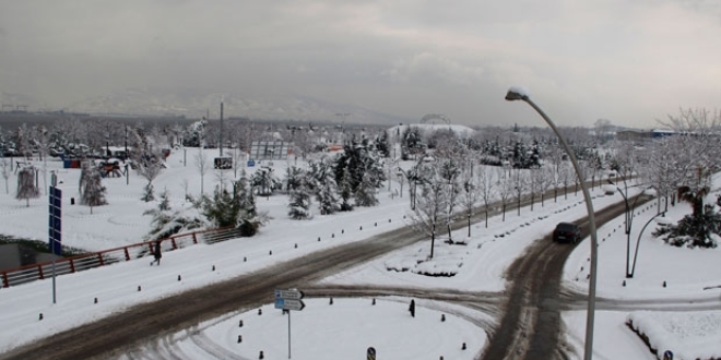 Kocaeli �niversitesinde yar�n e�itime ara verildi